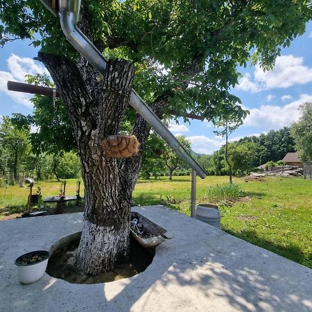 Casa Primitoare In Inima Naturii Si Padurii Rasca  Eksteriør bilde