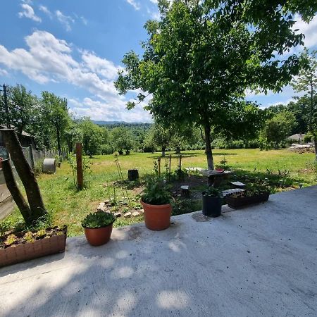 Casa Primitoare In Inima Naturii Si Padurii Rasca  Eksteriør bilde