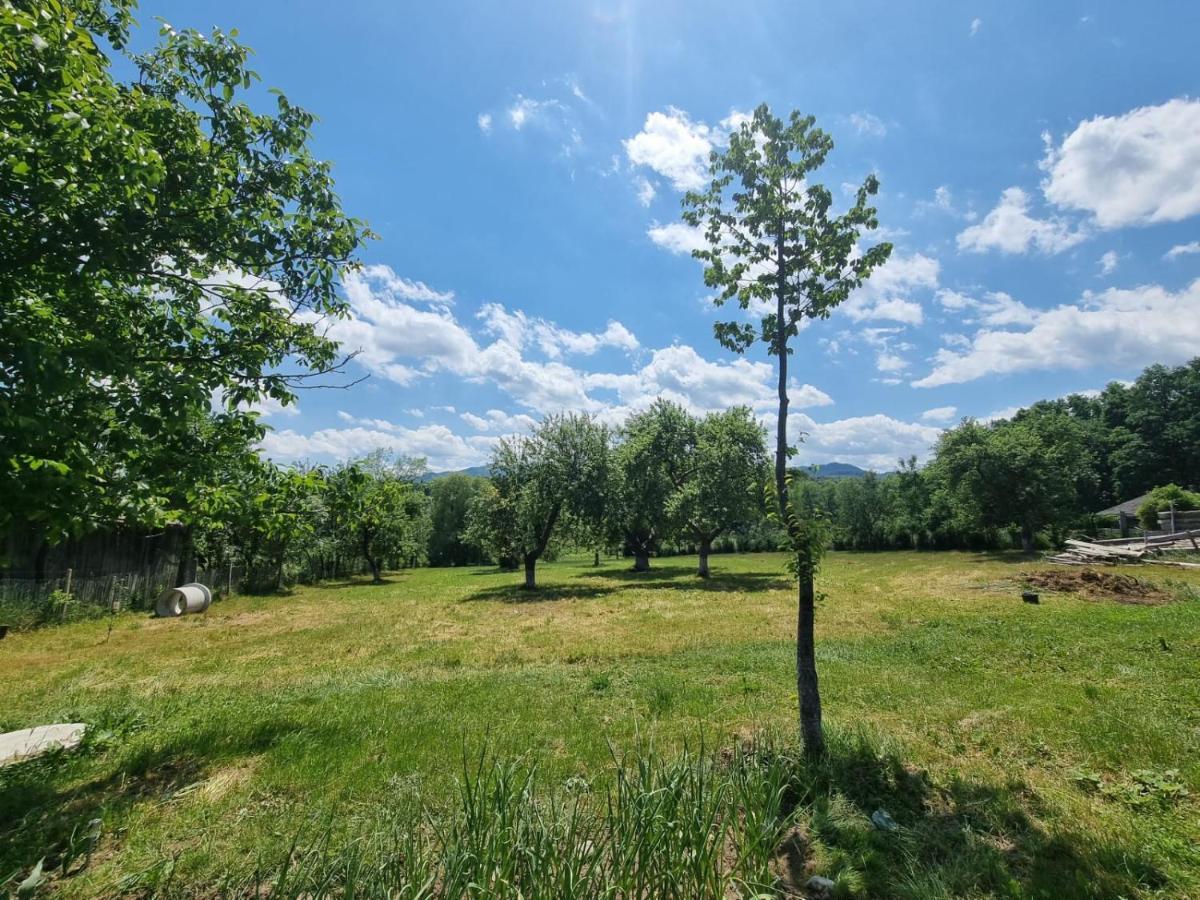 Casa Primitoare In Inima Naturii Si Padurii Rasca  Eksteriør bilde